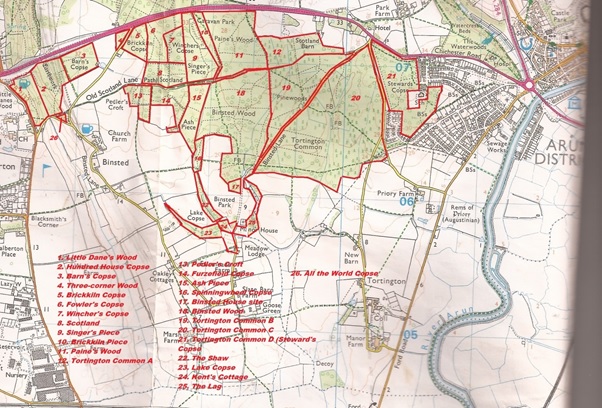 Map of Binsted Woods and surrounding areas